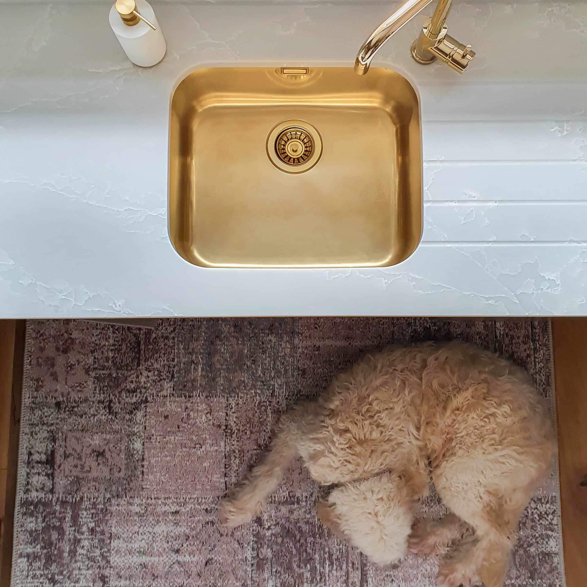 land-of-rugs-kitchen-1