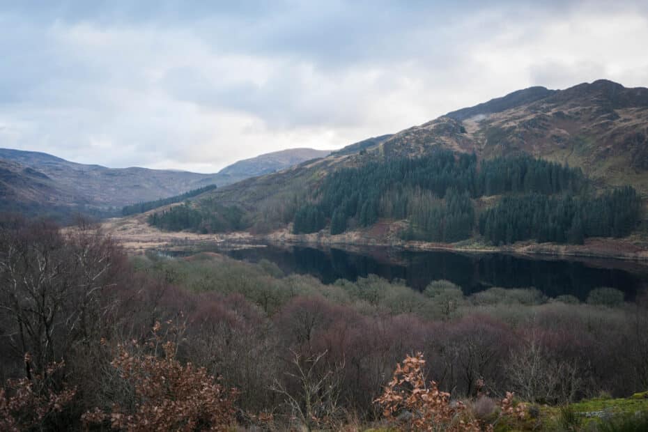 A serene landscape featuring a calm lake surrounded by leafless trees, evergreen forest, and rolling hills under a cloudy sky—perfect for discovering new Ways To Wear an Irish Knitted Cardigan in early spring or late autumn.